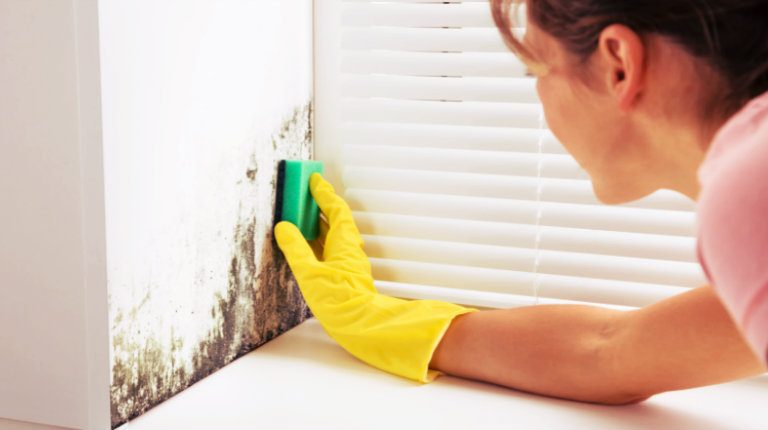 Mould Removal – The 3 Biggest Mistakes Gold Coast Families Make when Removing Mould from their Driveways, Walls, Roofs, Fences and Garden Areas.